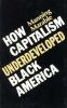 How_capitalism_underdeveloped_Black_America