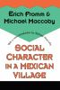 Social_character_in_a_Mexican_village