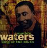 A_tribute_to_Muddy_Waters