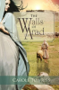 The_Walls_of_Arad